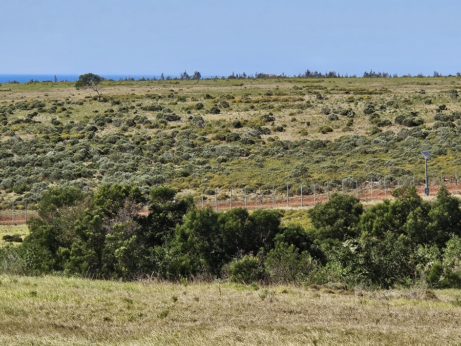 0 Bedroom Property for Sale in Twin Valley Eastern Cape